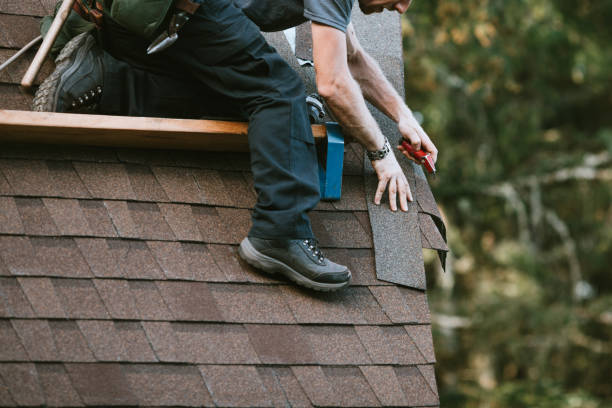 Best New Roof Installation  in Belle Rose, LA